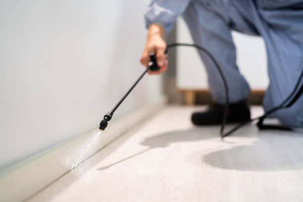 Licensed Ant Control service in Topeka, KS - Nex Pest Control