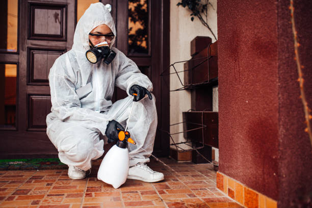 Reliable Ant Control contractor in Topeka, KS by Nex Pest Control